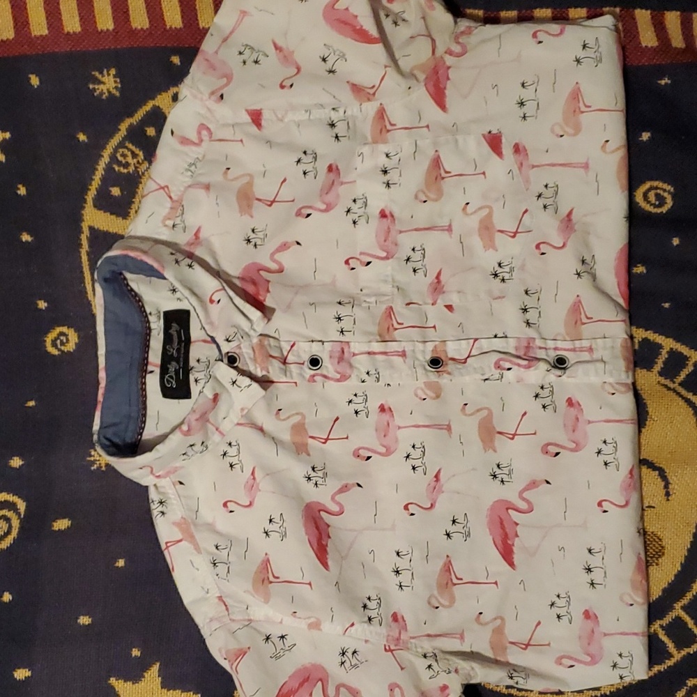 Dirty Laundry flamingo shirt